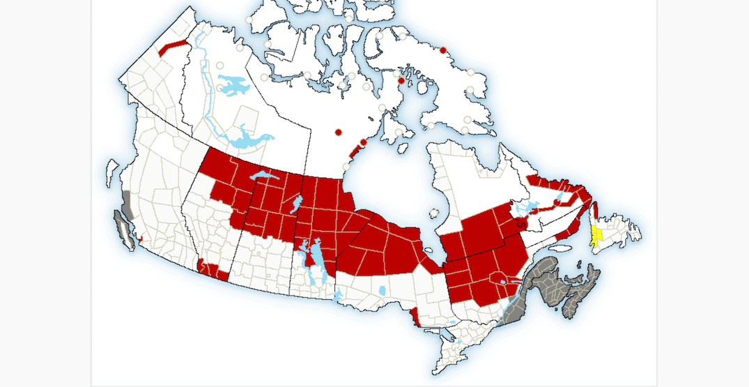 API Update: Canadian Alerts, Inclusion of Alerts in Current Weather Requests, Japanese Translations